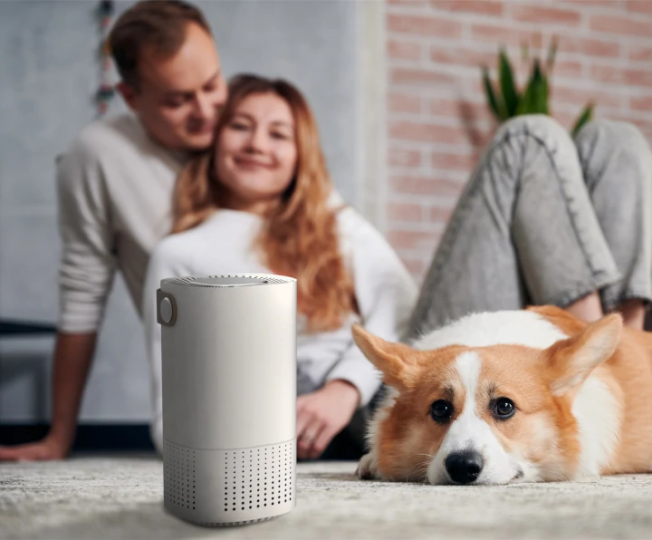 Airrigo – Air Purification