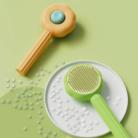 Pet Brush