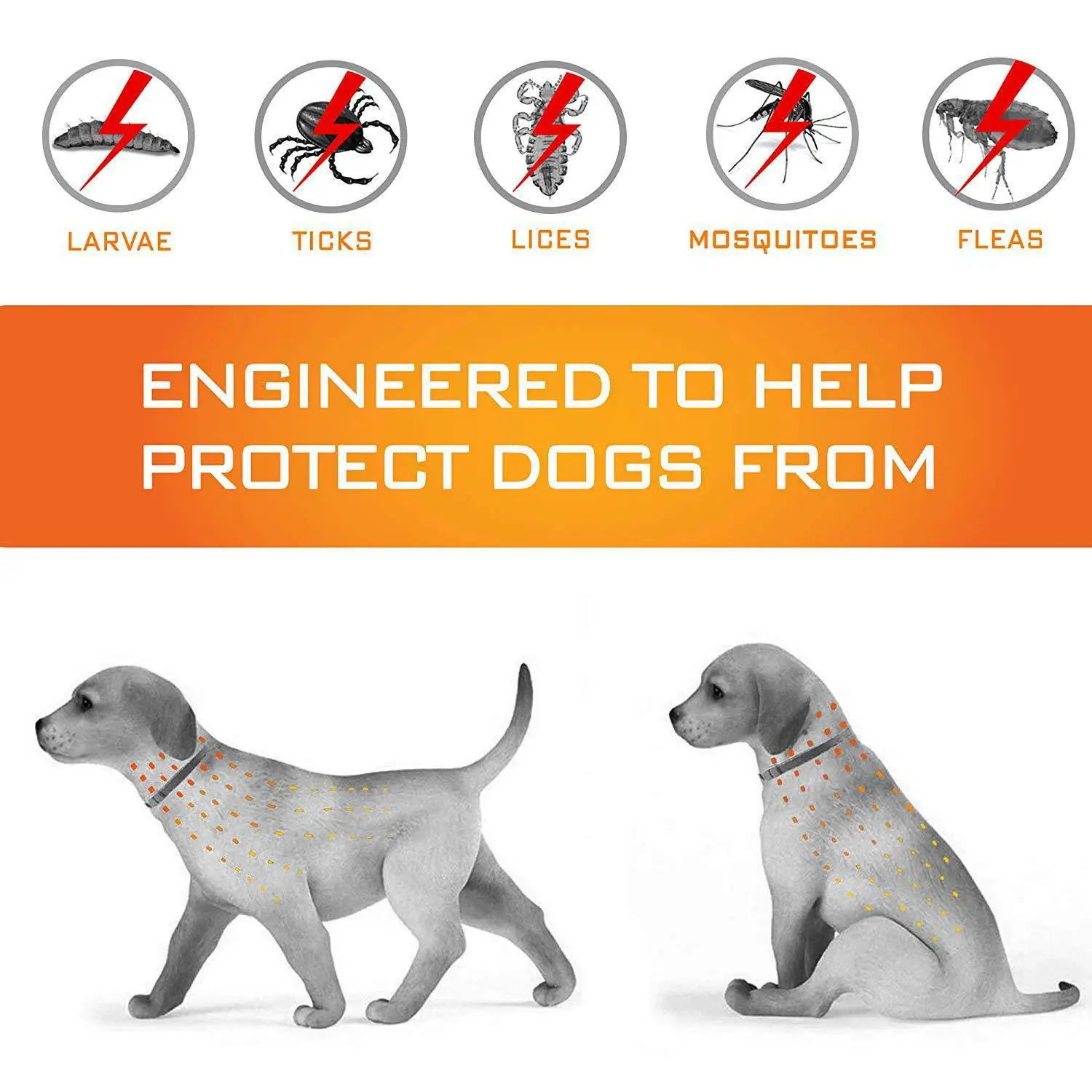 Flea Shield-collar For Pet