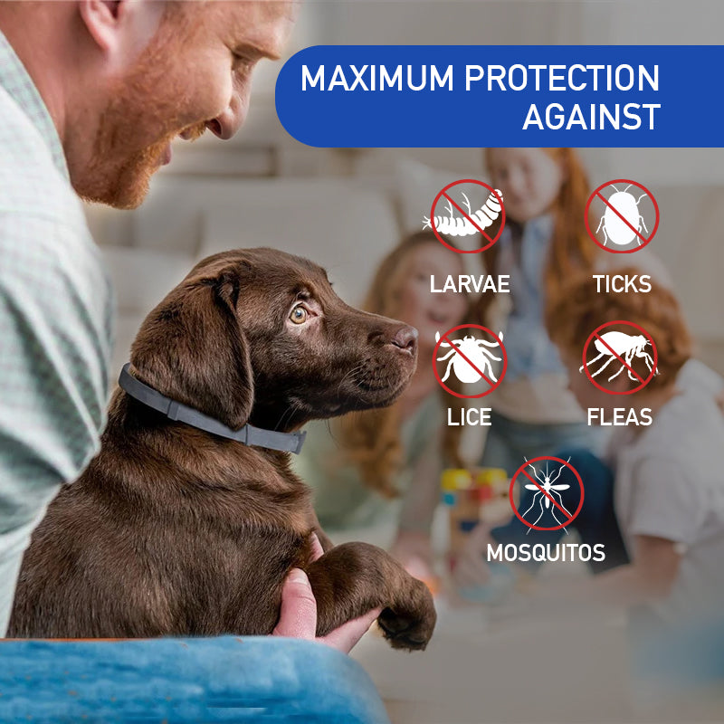 Osmo Flea Collar