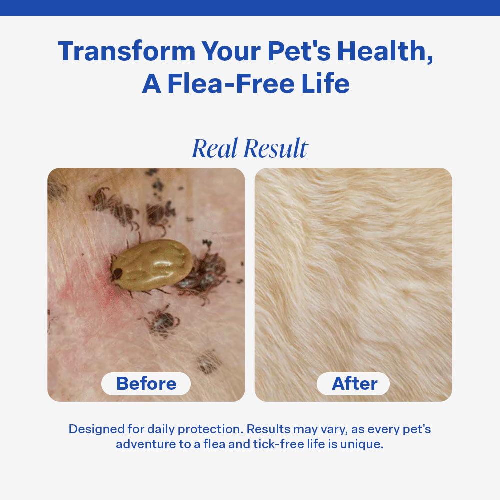 Osmo Flea Collar