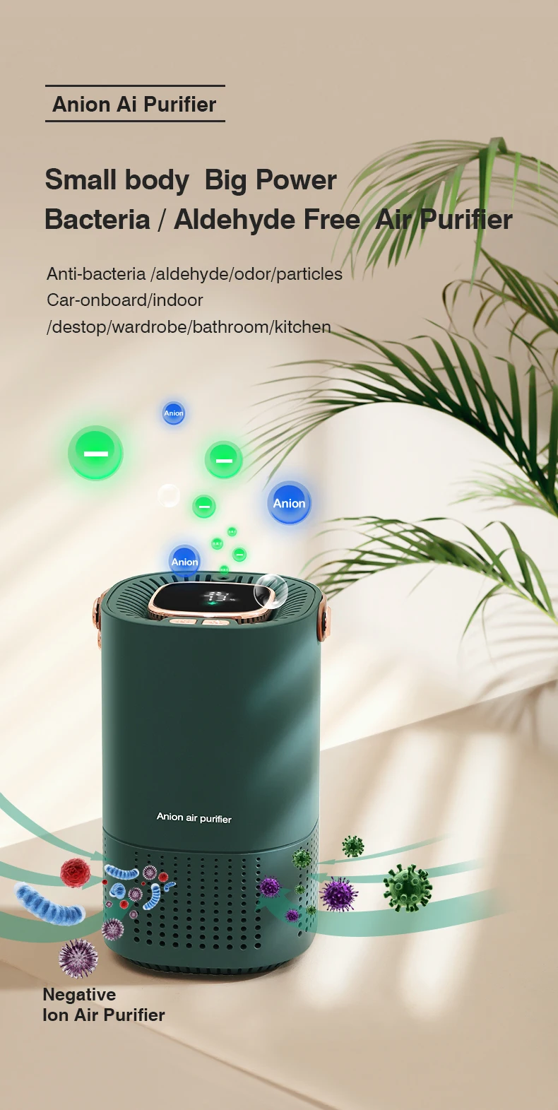 Airrigo – Air Purification