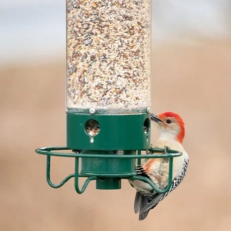 Outdoor Hanging Pet Food Dispenser