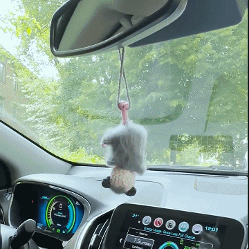 Possum Car-charm