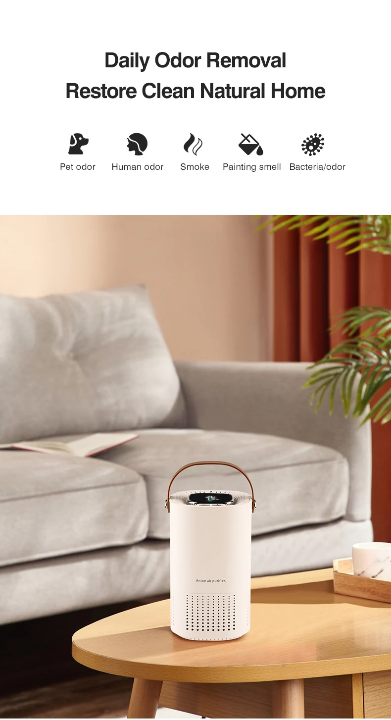 Airrigo – Air Purification