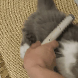 Big Sale – 49% Off – Electric Dog Cat Comb Hair Trimming Grooming