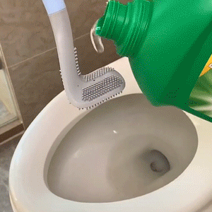 Long-handled Toilet Brush