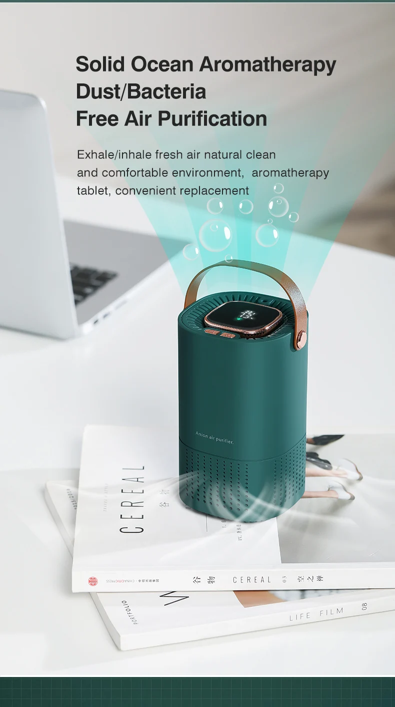 Airrigo – Air Purification