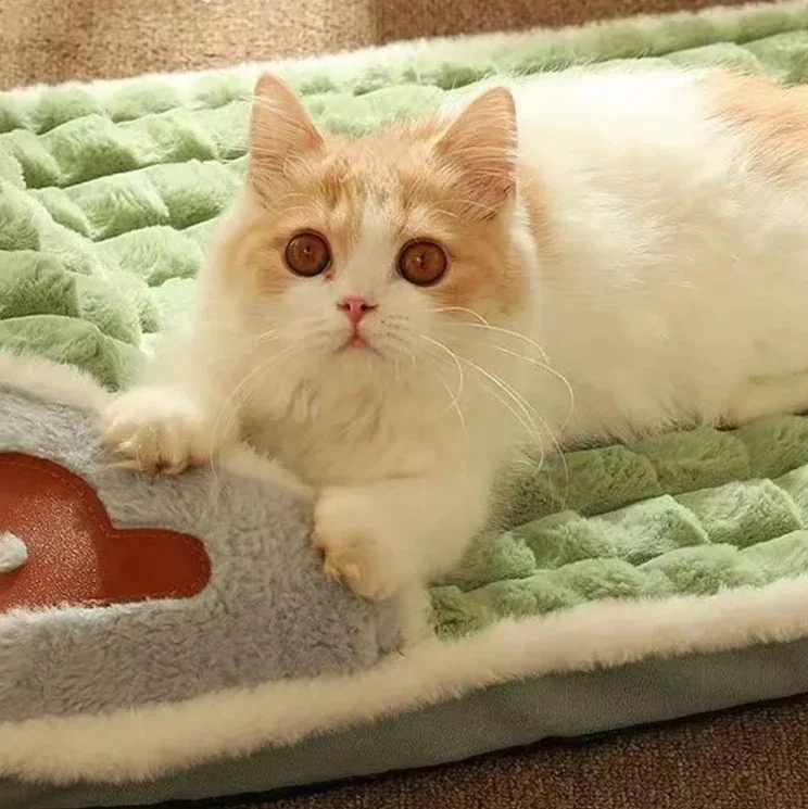 Cloud Calming Bed