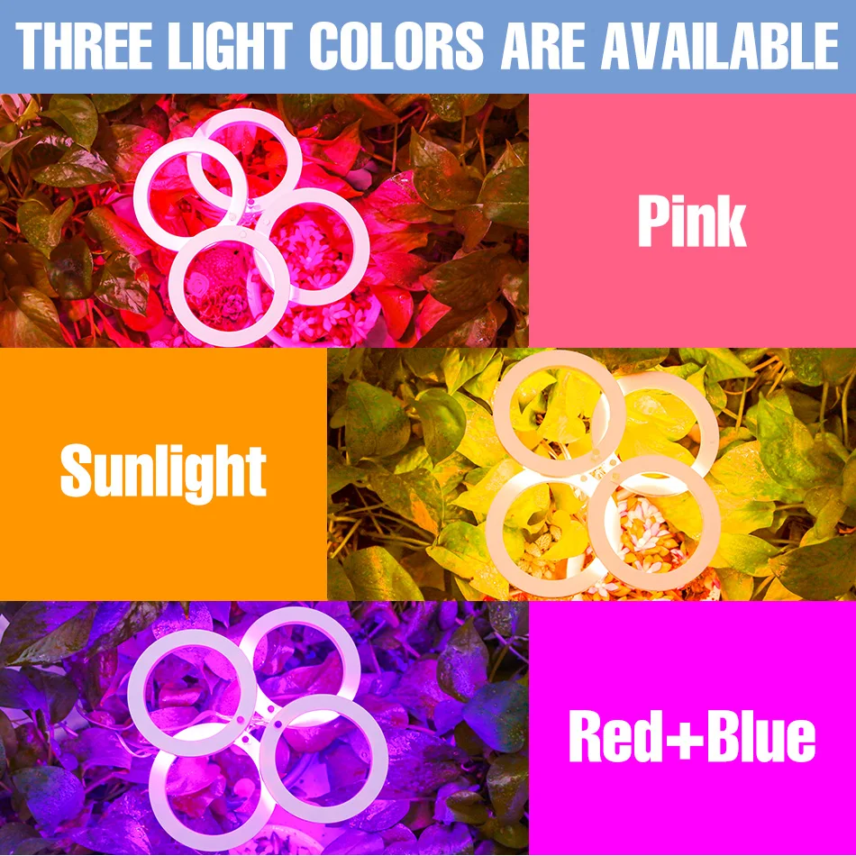 Thrivebeam™ – Flourish With Indoor Sun