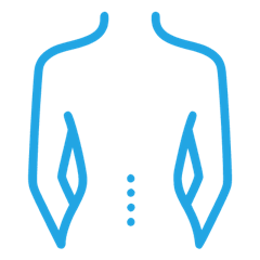 Recovist Supportive Belt