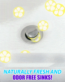 (Hot Sale Now) 12/set Pipe Cleaning Sticks Oil Decontamination Kitchen Toilet Bathtub Drain Cleaneer