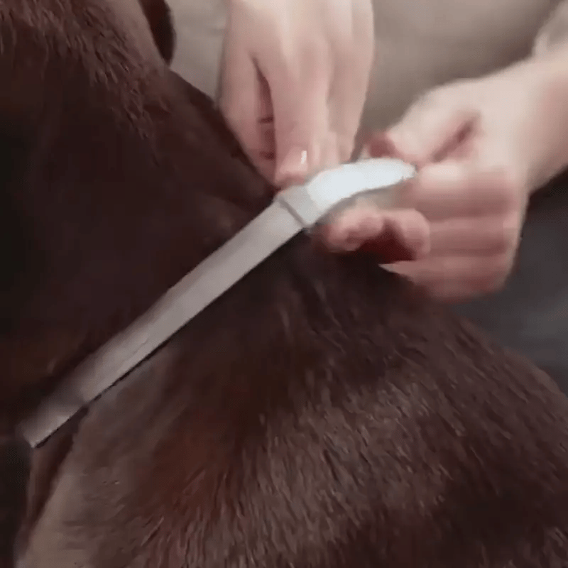 Osmo Flea Collar