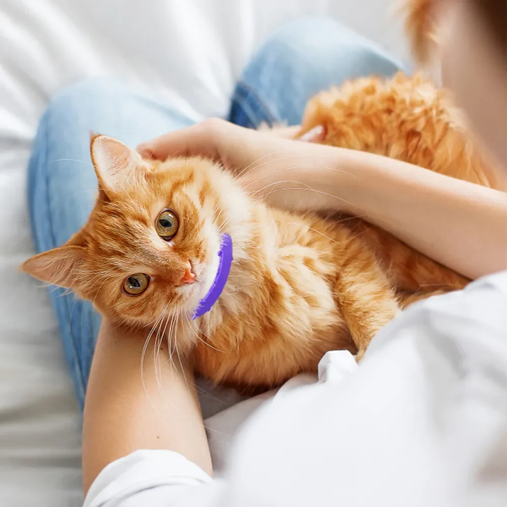 Flea Shield-collar For Pet