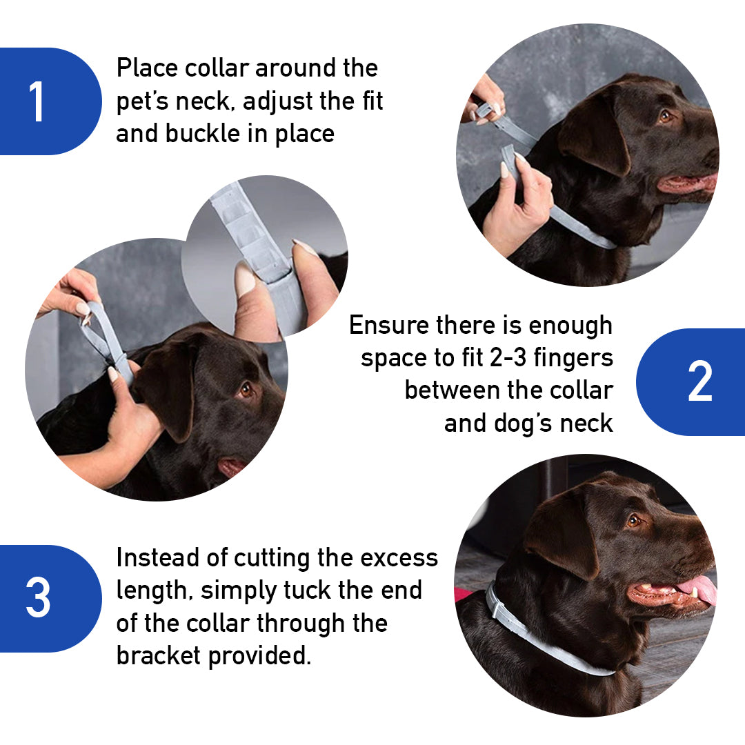 Osmo Flea Collar