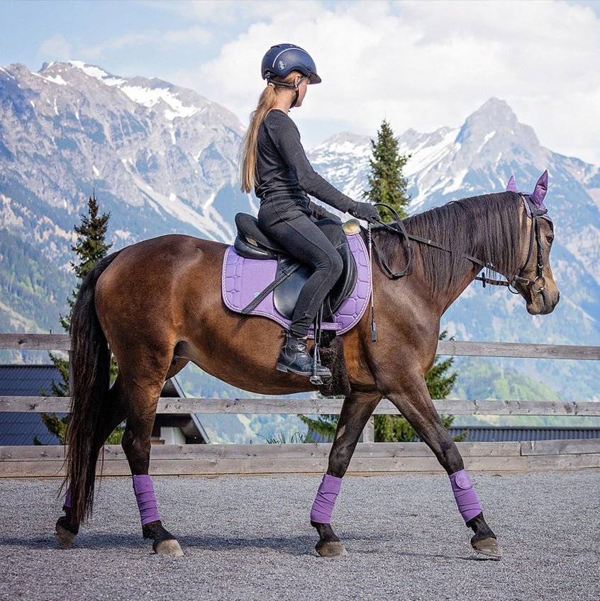 Riding Posture Vest – Buy 1 Get 1 Free
