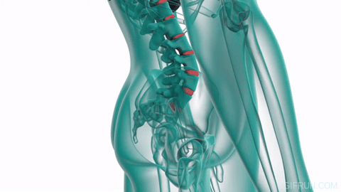 Qposture – Spine Straightening Posture Corrector