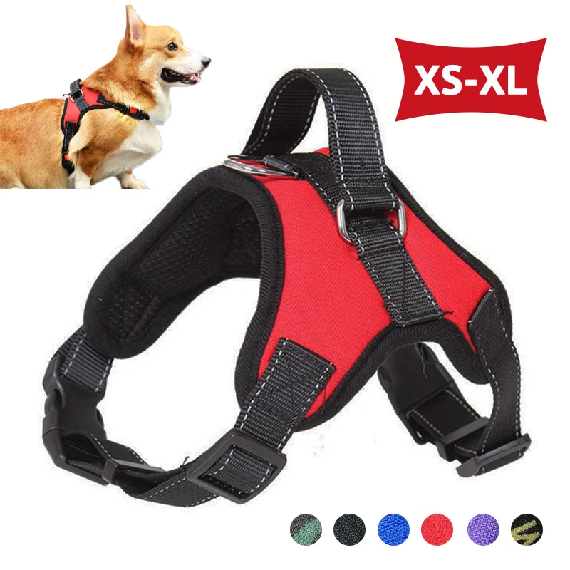Dog Car Safety Kit