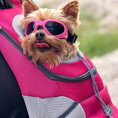 Pawslover™ Pet Backpack Carrier