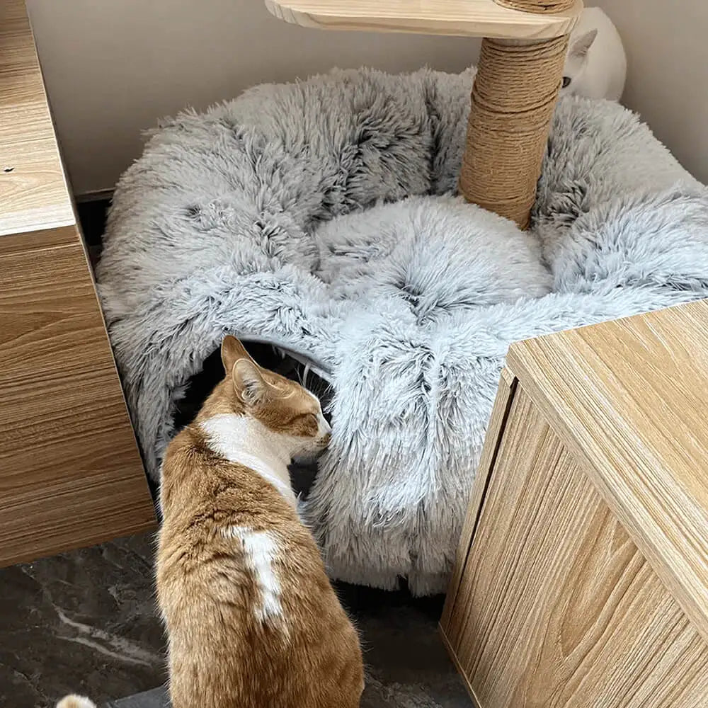 Cuddlitunnel™ Cat Bed