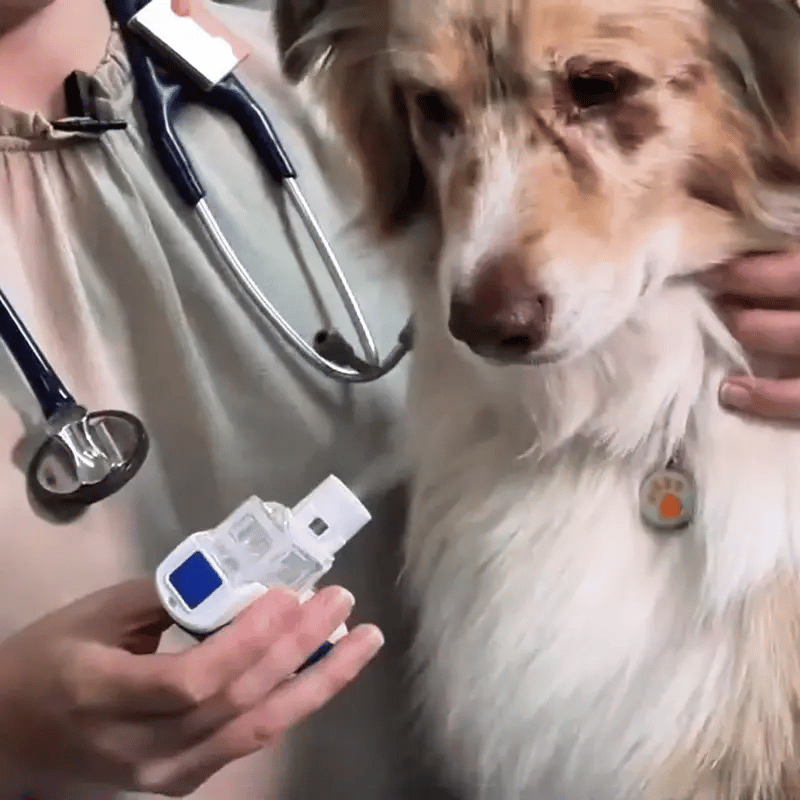 Petaircare Portable Silent Nebulizer For Pets