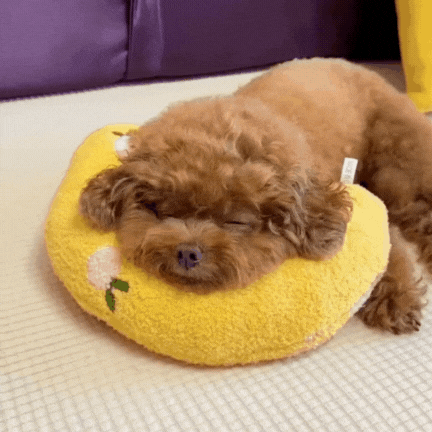 U-pillow For Pet