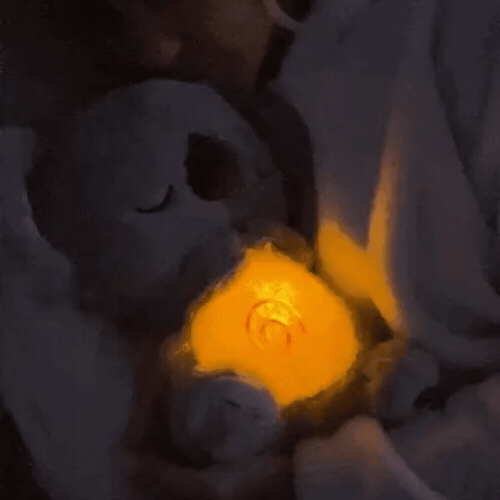 Breathing Calming Koala