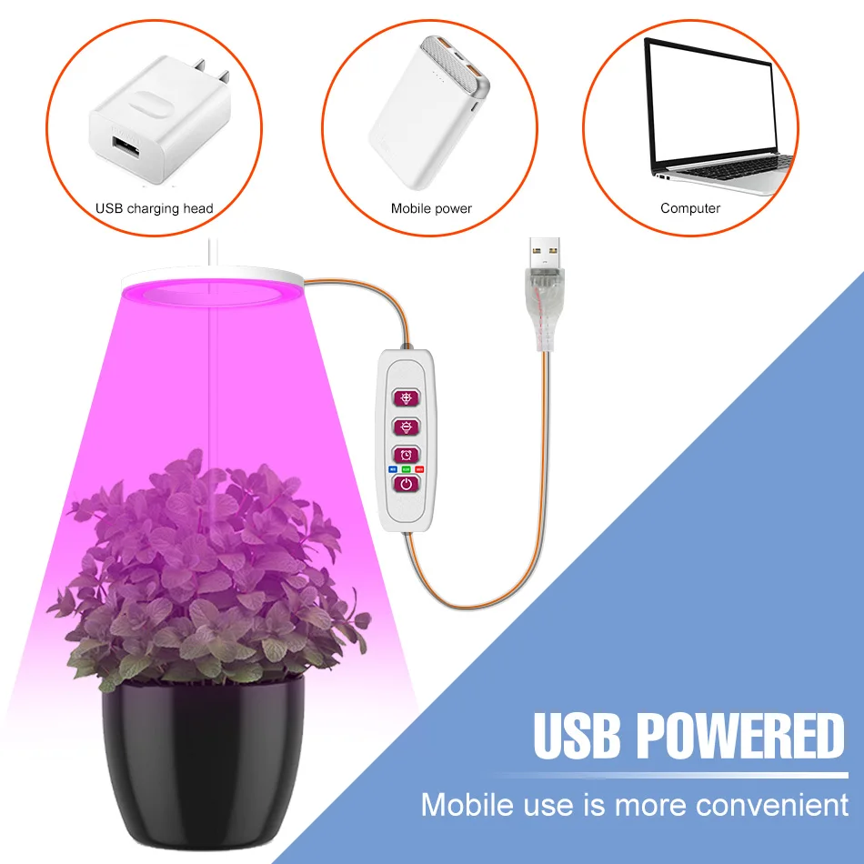 Thrivebeam™ – Flourish With Indoor Sun