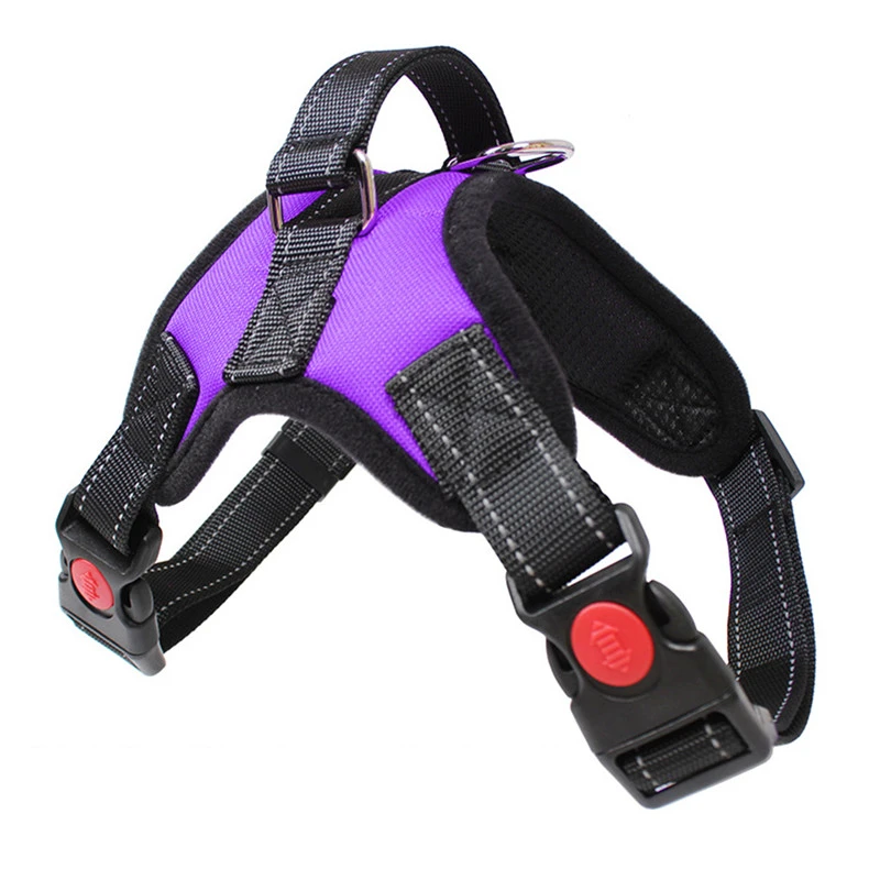 Dog Car Safety Kit