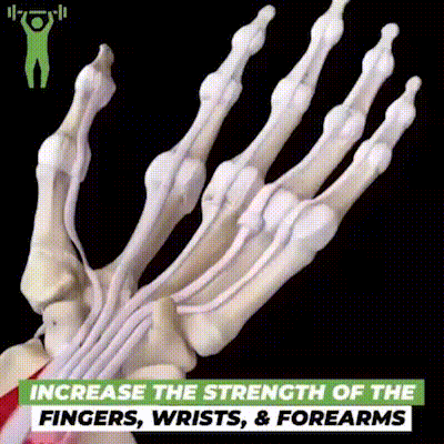 6 Resistant Level Finger-exerciser