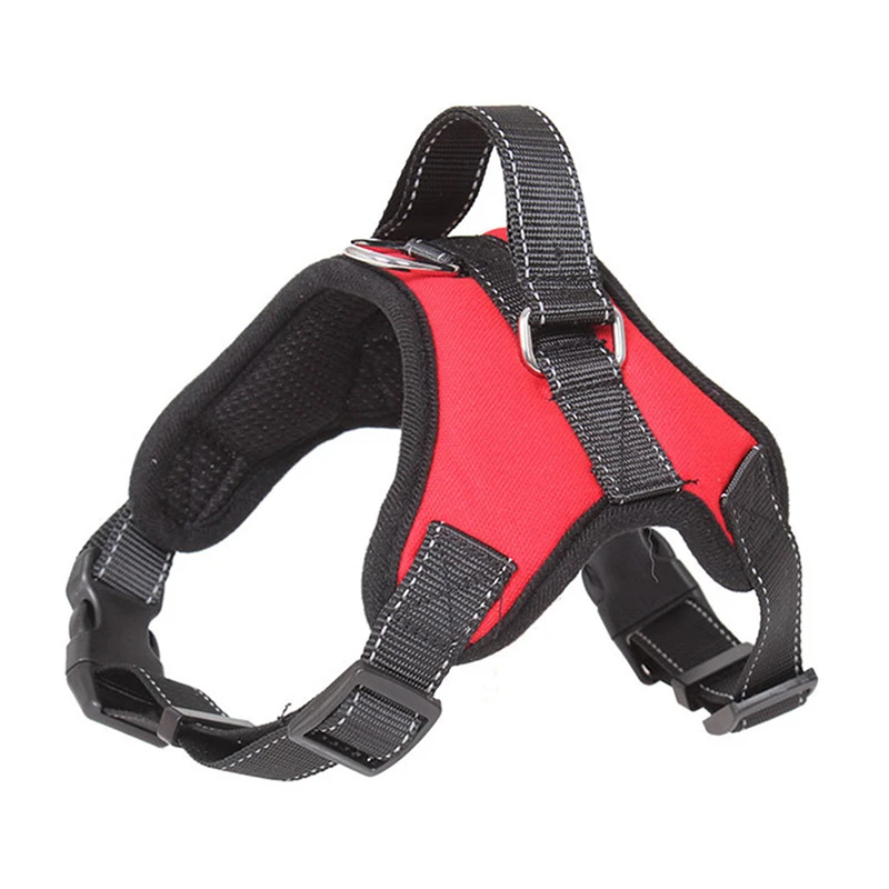 Dog Car Safety Kit
