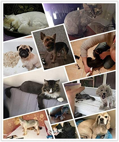 Ultra Silent Pet Clipper