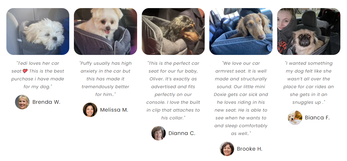 (Last Day Promotion 75% Off) – Utopica Pet Carpool Seat