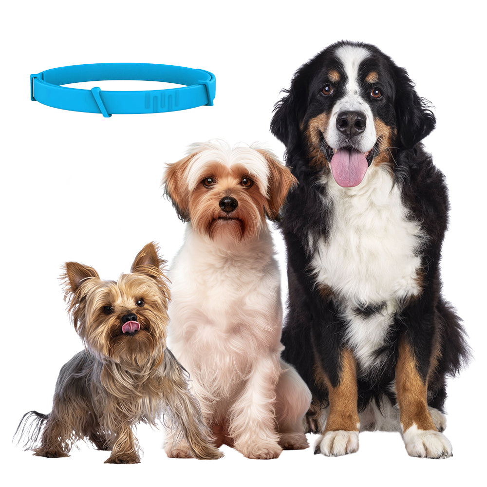Osmo Flea Collar