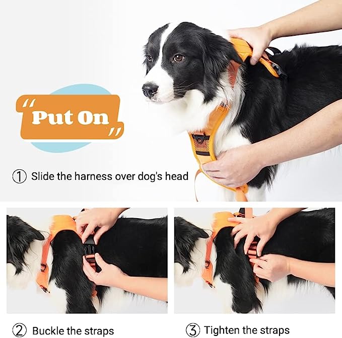 Dog Harness And Retractable Leash Set All-in-one