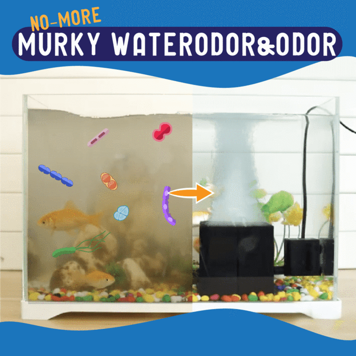 Eco-aquarium Water Purifier Cube