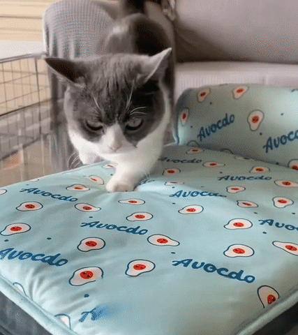 Ice Silk Cooling Mat For Dogs & Cats