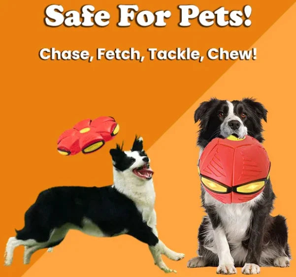 Doggy Disc Ball For Dog