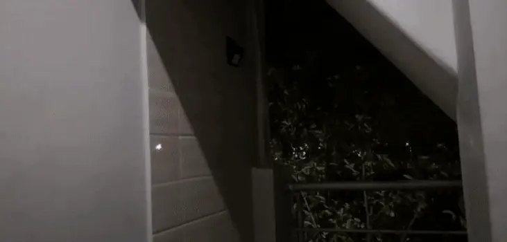Solarlite™ – The Future Of Home Lighting