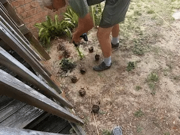 Easy Gardening Auger Spiral Drill Bit