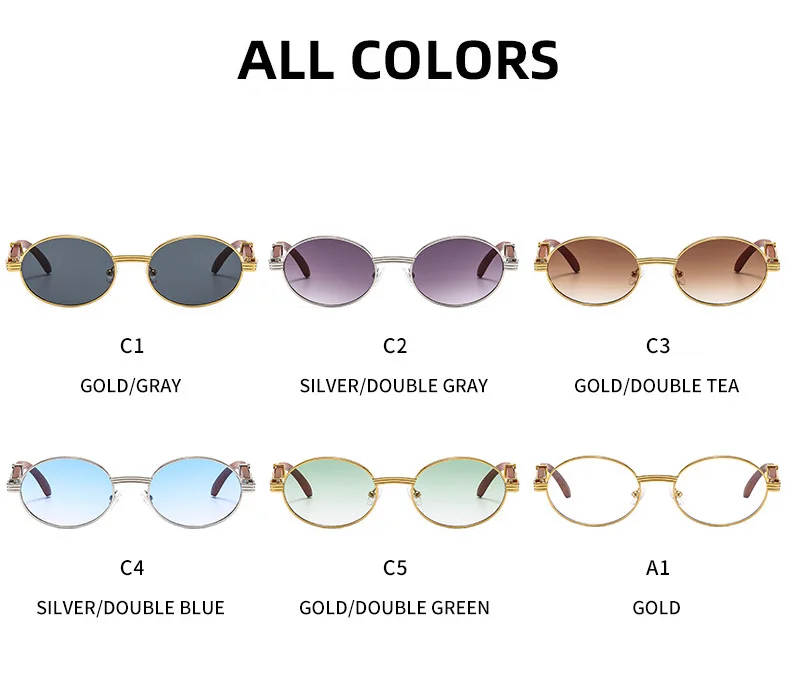 Sandro V2 Sunglasses