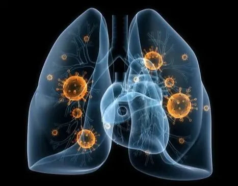 Breathe-right: Organic Herbal Lung Cleanse & Repair Respiratory Nasal Spray Pro