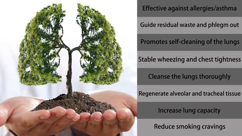 Breathe-right: Organic Herbal Lung Cleanse & Repair Respiratory Nasal Spray Pro