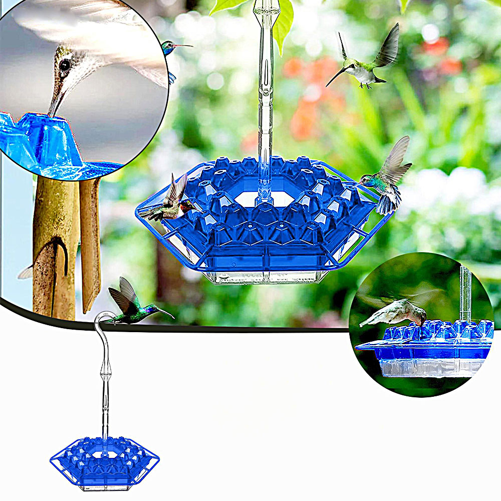 Hummingbird Feeder With Perch And Built-in Ant Moat