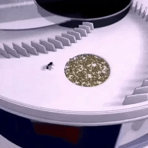Automatic Home Fly Trap