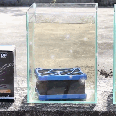 Eco-aquarium Water Purifier Cube