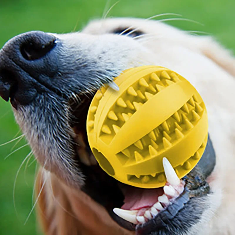 Interactive Treat Dog And Pup Ball