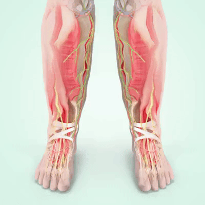 3-in-1 Legs Massager