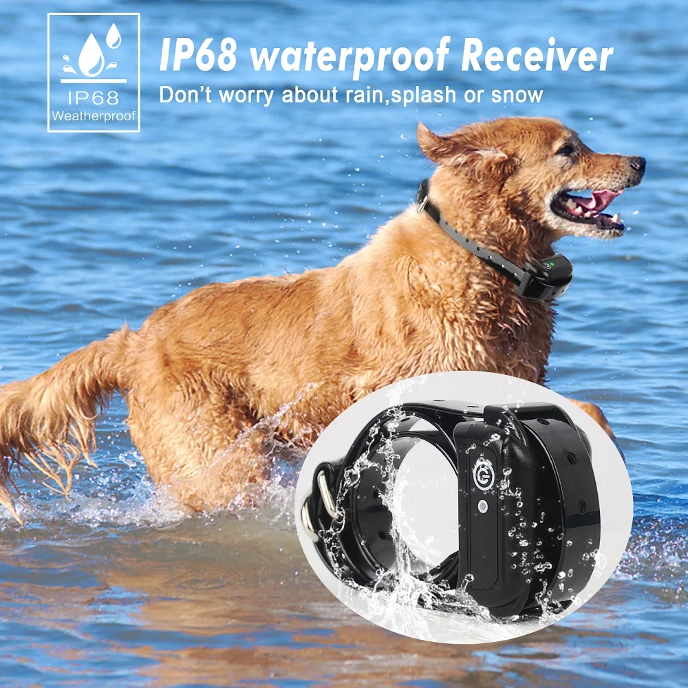 Boundarybuddy Gps Dog