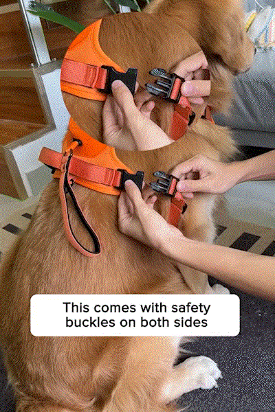 Dog Harness And Retractable Leash Set All-in-one